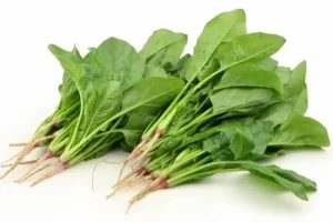 Amazing Winter Secret Remedy of Spinach
