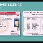 Get a Driving License Online