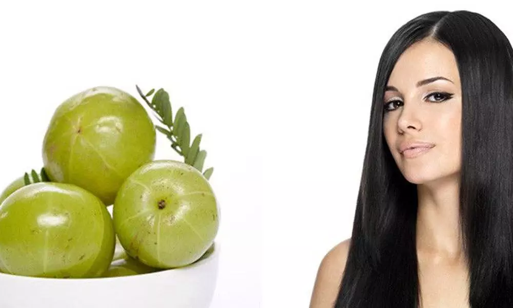 amla benifits for hair and skin