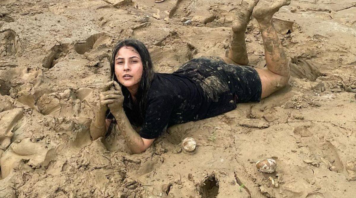 Shehnaaz Gill Shares Mud Bath Pictures See